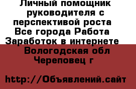 Личный помощник руководителя с перспективой роста - Все города Работа » Заработок в интернете   . Вологодская обл.,Череповец г.